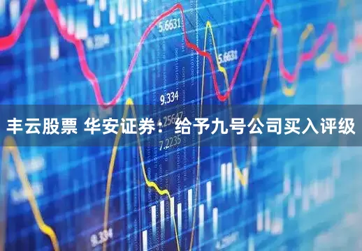 丰云股票 华安证券：给予九号公司买入评级